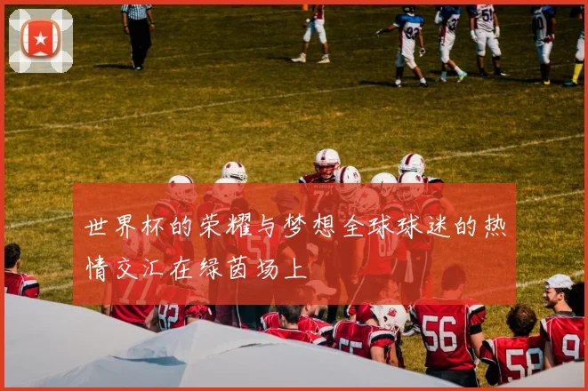 世界杯的荣耀与梦想全球球迷的热情交汇在绿茵场上