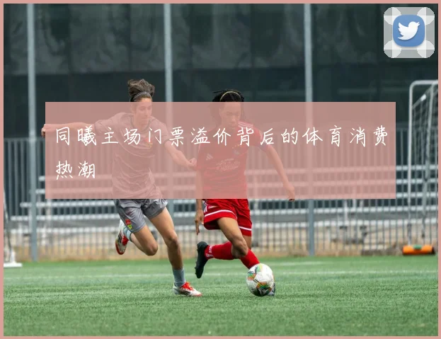 同曦主场门票溢价背后的体育消费热潮