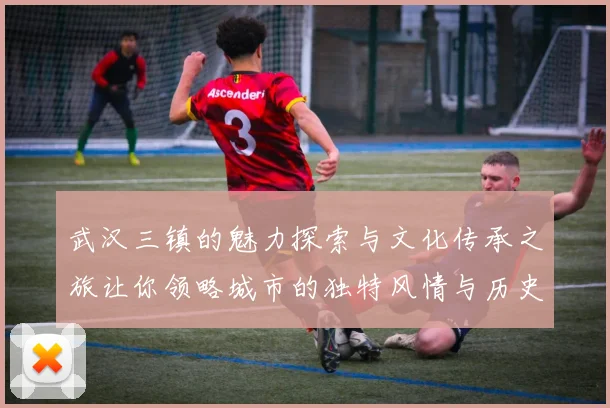 武汉三镇的魅力探索与文化传承之旅让你领略城市的独特风情与历史底蕴