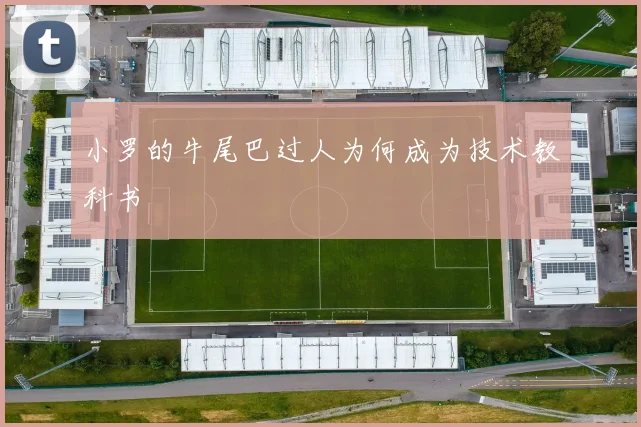 小罗的牛尾巴过人为何成为技术教科书