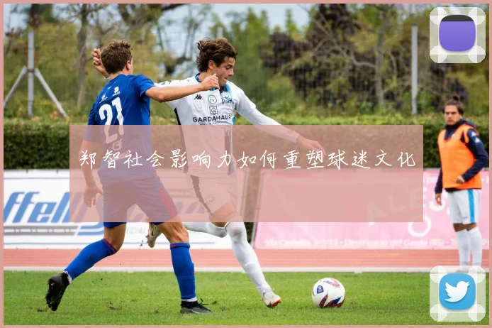 郑智社会影响力如何重塑球迷文化