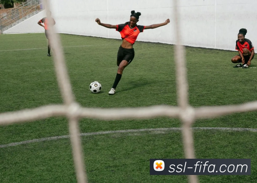 世界杯FIFA平台生态图