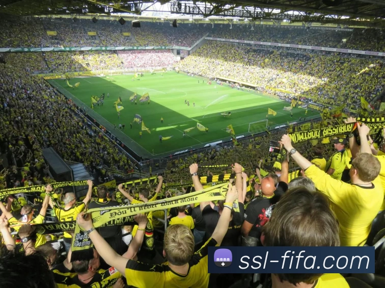 世界杯FIFAAPP 封面图